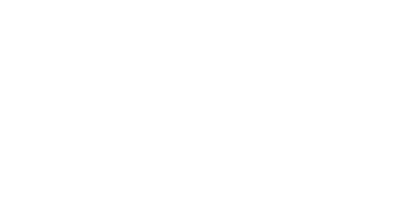 IDentonic - partner FANB 2026