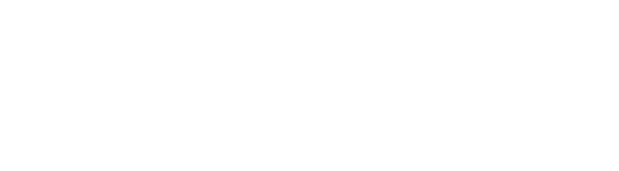 NOVUM